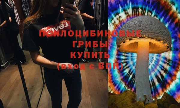 гидропоника Баксан